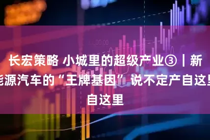 长宏策略 小城里的超级产业③｜新能源汽车的“王牌基因” 说不定产自这里