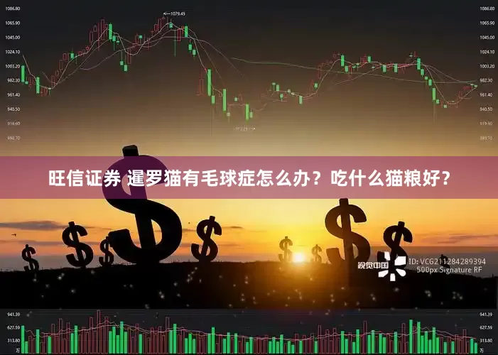 旺信证券 暹罗猫有毛球症怎么办？吃什么猫粮好？