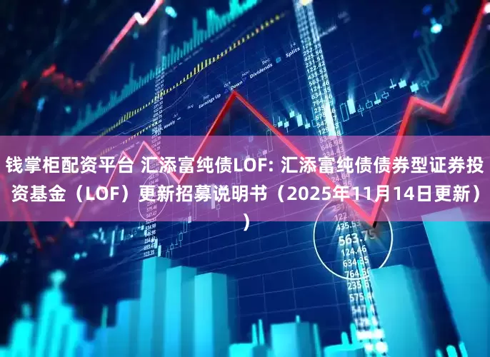 钱掌柜配资平台 汇添富纯债LOF: 汇添富纯债债券型证券投资基金（LOF）更新招募说明书（2025年11月14日更新）